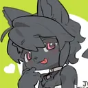 y4坏狗